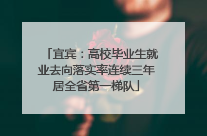 宜宾：高校毕业生就业去向落实率连续三年居全省第一梯队