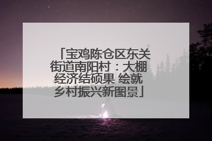 宝鸡陈仓区东关街道南阳村：大棚经济结硕果 绘就乡村振兴新图景