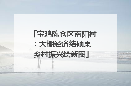 宝鸡陈仓区南阳村：大棚经济结硕果 乡村振兴绘新图