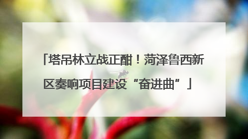 塔吊林立战正酣！菏泽鲁西新区奏响项目建设“奋进曲”