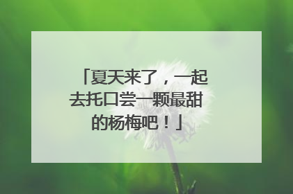 夏天来了，一起去托口尝一颗最甜的杨梅吧！