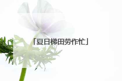 夏日梯田劳作忙