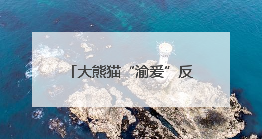 大熊猫“渝爱”反复出现脱毛 重庆动物园：暂时转移至非展示区静养治疗