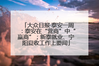 大众日报·泰安一周：泰安在“营商”中“赢商”；新泰就业、宁阳夏收工作上要闻