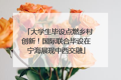 大学生毕设点燃乡村创新！国际联合毕设在宁海展现中西交融