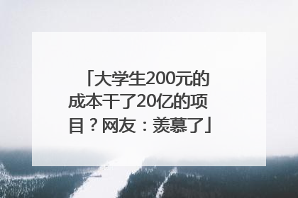 大学生200元的成本干了20亿的项目？网友：羡慕了