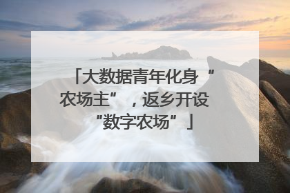 大数据青年化身“农场主”，返乡开设“数字农场”