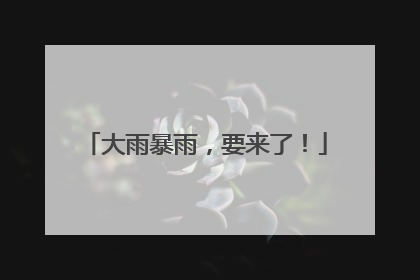 大雨暴雨，要来了！