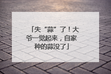 失“蒜”了！大爷一觉起来，自家种的蒜没了