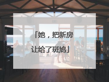 她，把新房让给了斑鸠