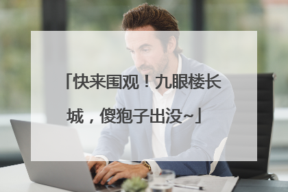 快来围观！九眼楼长城，傻狍子出没~