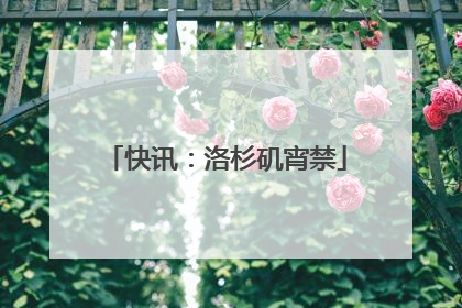 快讯：洛杉矶宵禁