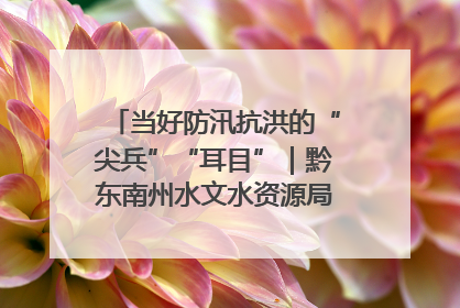 当好防汛抗洪的“尖兵”“耳目”｜黔东南州水文水资源局全员出动为此轮强降雨做好测报工作