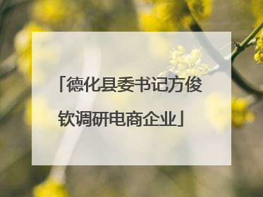 德化县委书记方俊钦调研电商企业