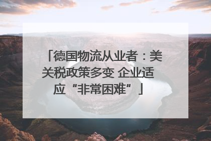 德国物流从业者：美关税政策多变 企业适应“非常困难”