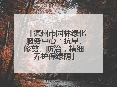 德州市园林绿化服务中心：抗旱、修剪、防治，精细养护保绿荫