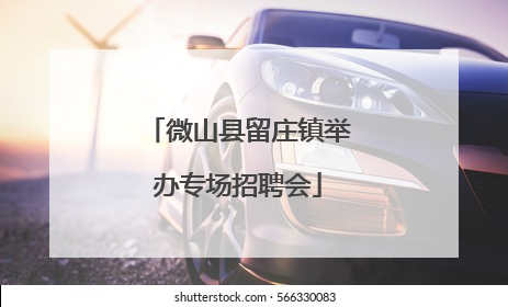 微山县留庄镇举办专场招聘会