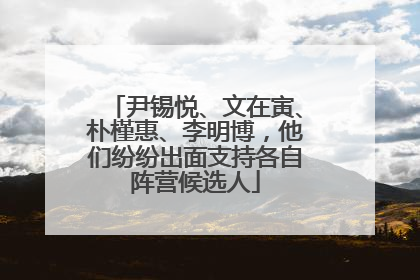 尹锡悦、文在寅、朴槿惠、李明博，他们纷纷出面支持各自阵营候选人
