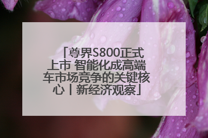 尊界S800正式上市 智能化成高端车市场竞争的关键核心丨新经济观察
