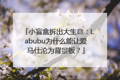小盲盒拆出大生意：Labubu为什么能让爱马仕沦为背景板？