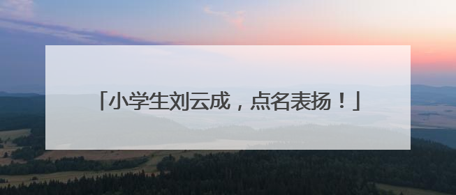 小学生刘云成，点名表扬！
