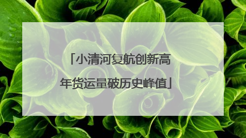 小清河复航创新高 年货运量破历史峰值