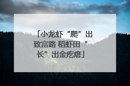 小龙虾“爬”出致富路 稻虾田“长”出金疙瘩