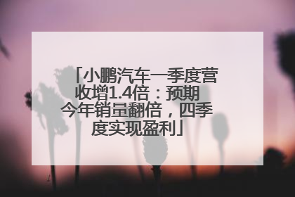 小鹏汽车一季度营收增1.4倍：预期今年销量翻倍，四季度实现盈利