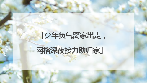 少年负气离家出走，网格深夜接力助归家