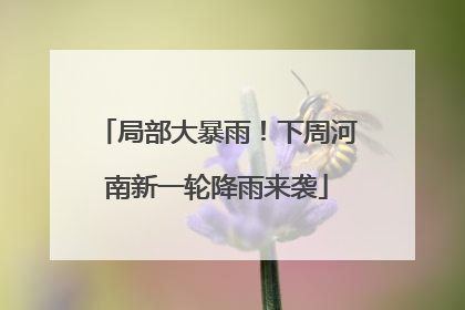 局部大暴雨！下周河南新一轮降雨来袭