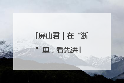 屏山君｜在“浙”里，看先进