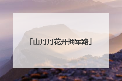 山丹丹花开拥军路