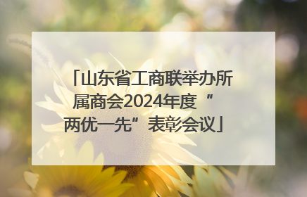 山东省工商联举办所属商会2024年度“两优一先”表彰会议