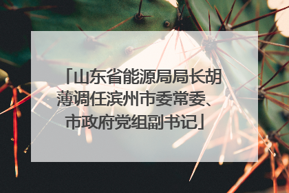 山东省能源局局长胡薄调任滨州市委常委、市政府党组副书记