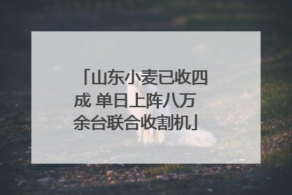 山东小麦已收四成 单日上阵八万余台联合收割机