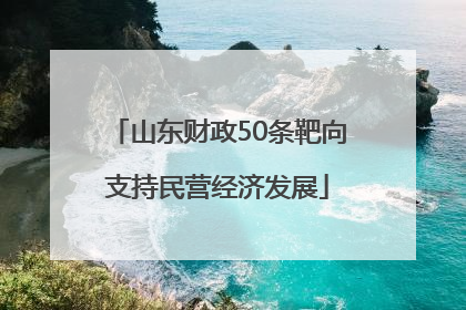山东财政50条靶向支持民营经济发展
