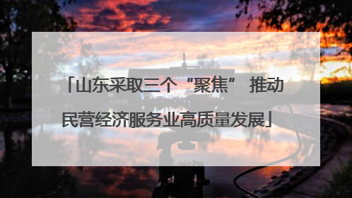 山东采取三个“聚焦” 推动民营经济服务业高质量发展