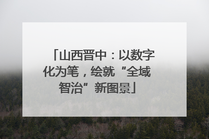 山西晋中：以数字化为笔，绘就“全域智治”新图景