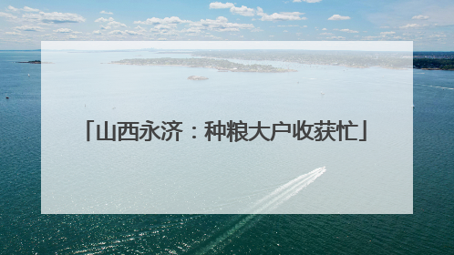 山西永济：种粮大户收获忙