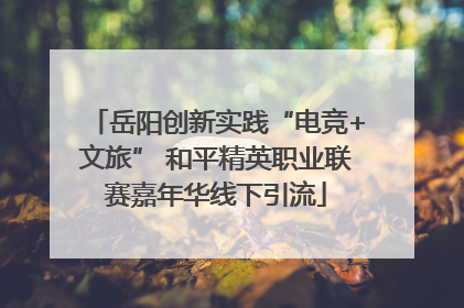 岳阳创新实践“电竞+文旅” 和平精英职业联赛嘉年华线下引流