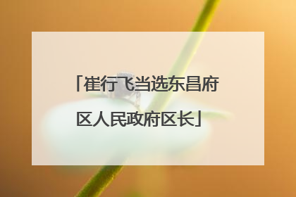 崔行飞当选东昌府区人民政府区长