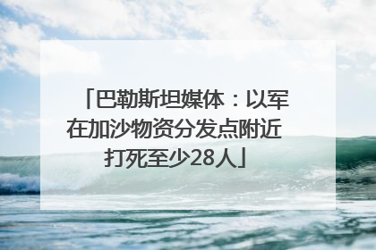 巴勒斯坦媒体：以军在加沙物资分发点附近打死至少28人