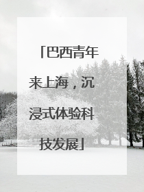 巴西青年来上海，沉浸式体验科技发展