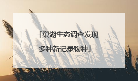 巢湖生态调查发现多种新记录物种