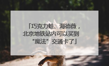 巧克力蛙、海德薇，北京地铁站内可以买到“魔法”交通卡了