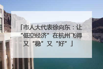 市人大代表徐向东：让“低空经济”在杭州飞得又“稳”又“好”