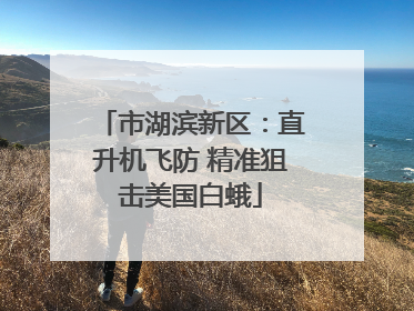 市湖滨新区：直升机飞防 精准狙击美国白蛾