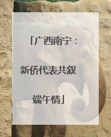 广西南宁：新侨代表共叙端午情