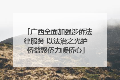 广西全面加强涉侨法律服务 以法治之光护侨益聚侨力暖侨心