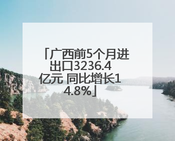 广西前5个月进出口3236.4亿元 同比增长14.8%